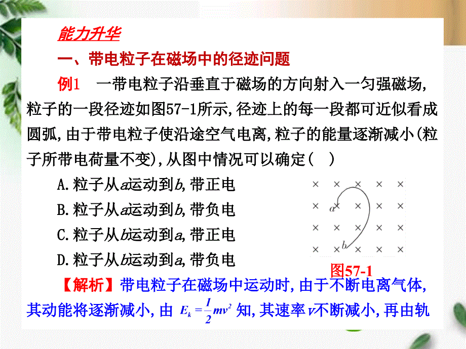 河北省2018年高考物理一轮总复习 磁场 第57讲 单元小结课件_第2页