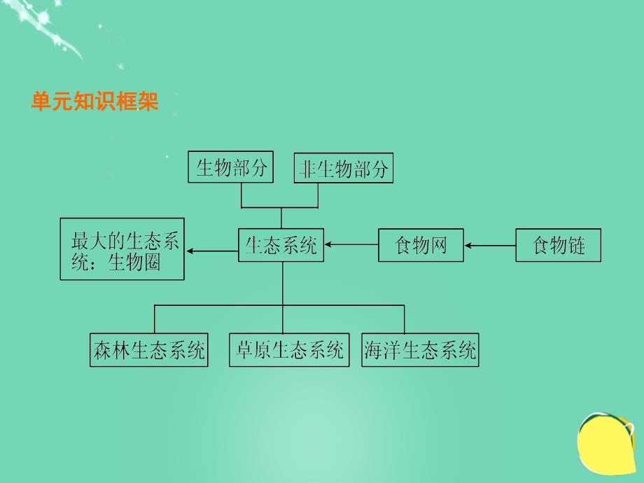 八年级生物上册 第7单元 生物和环境是统一体复习课件 苏教版_第2页