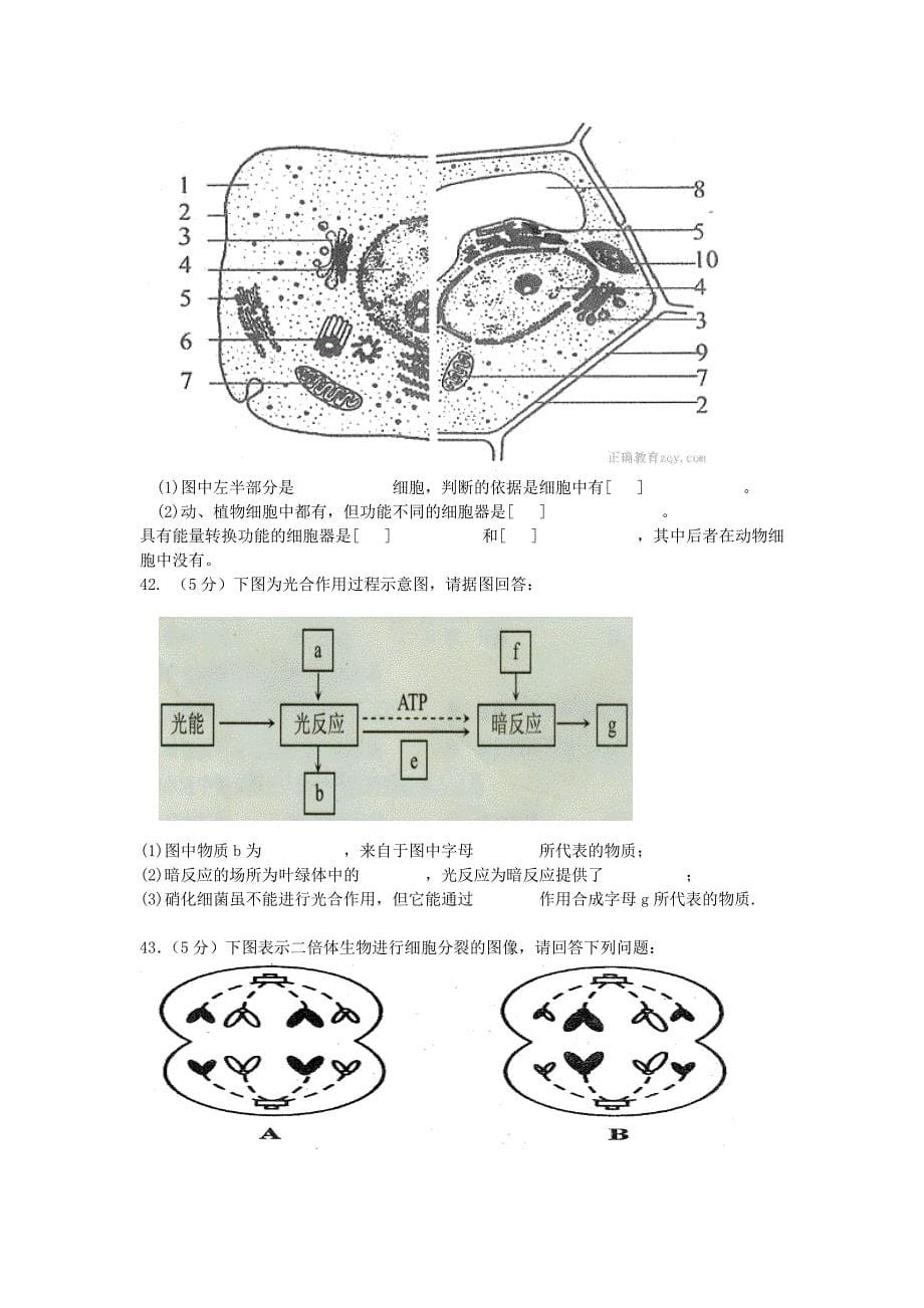 云南省玉溪市2016-2017学年高二生物下学期第二次阶段考试试卷文_第5页