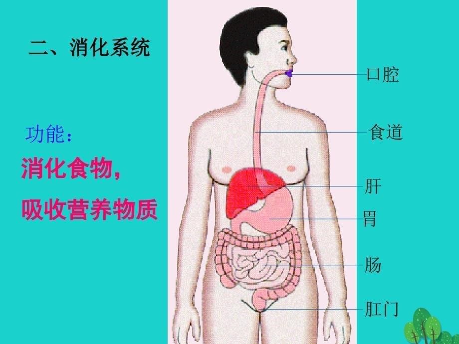 七年级生物下册 8.3 人体概述课件1 （新版）苏教版_第5页