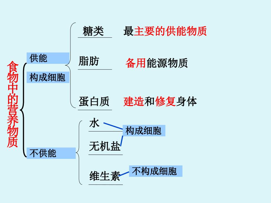 2.2 消化和吸收 课件（人教版七年级下）.ppt_第2页