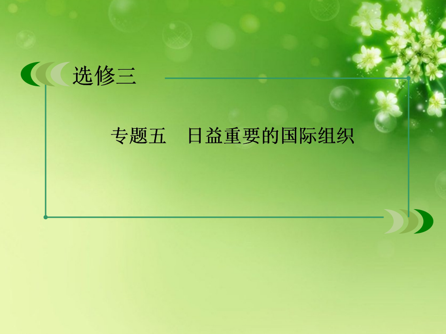 （2018春季出版）高中政治 日益重要的国际组织课件 新人教版选修3-5_第3页