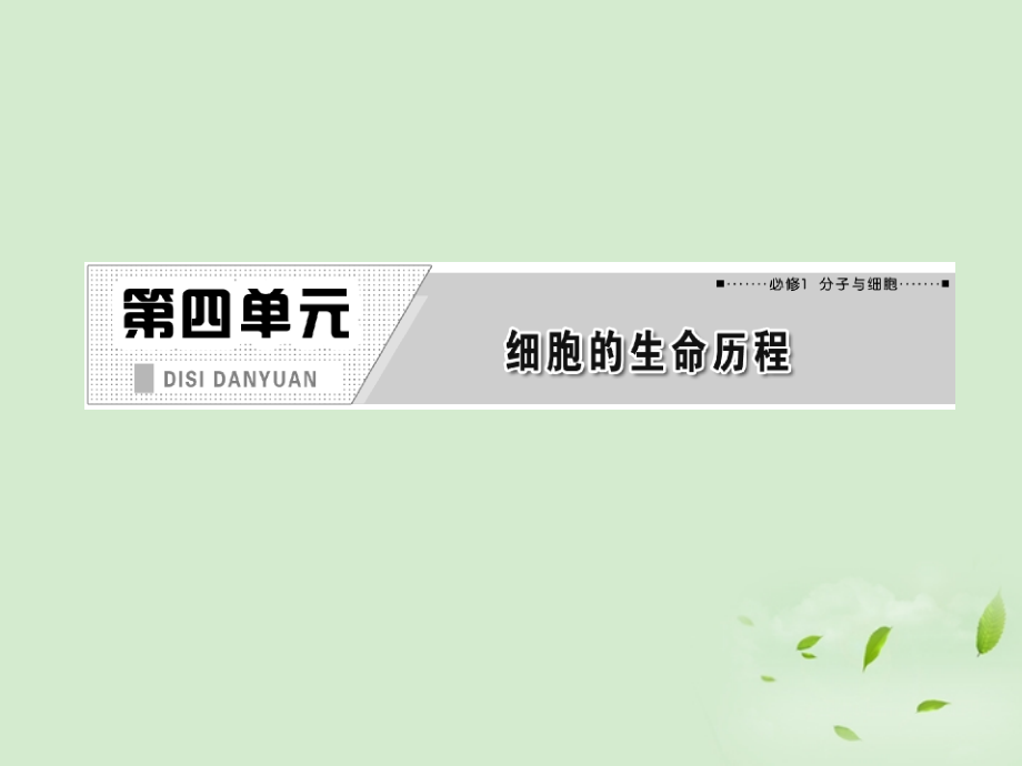 2018高中生物一轮复习 第四单元 第一讲  细胞的增殖课件 新人教版必修1_第2页