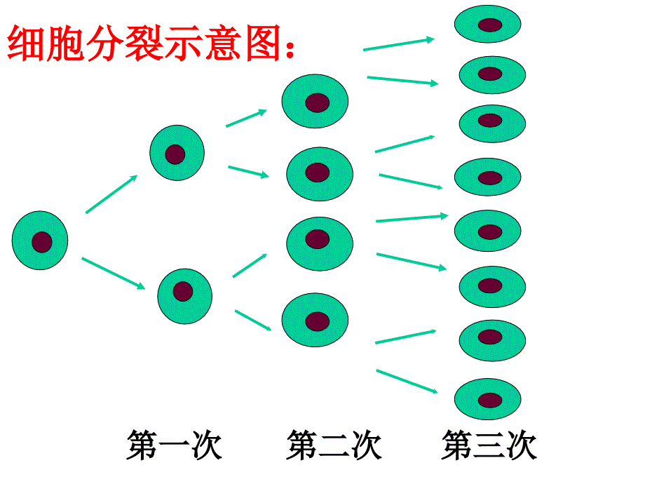 2.9 有理数的乘方 课件10（北师大版七年级上）.ppt_第4页