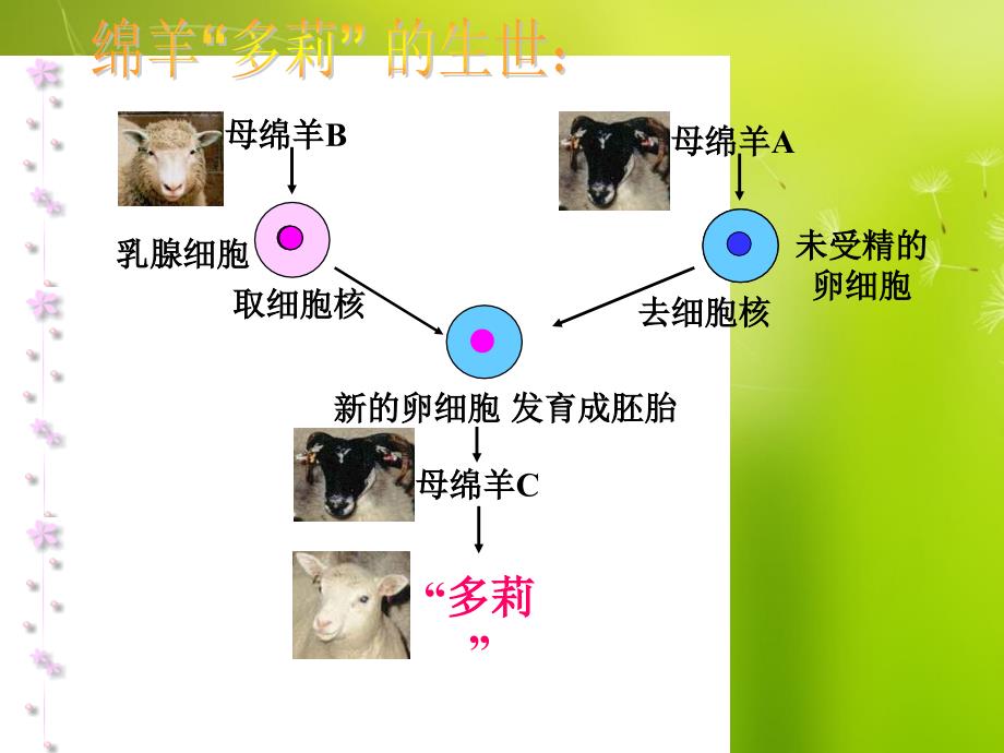 河北省高二生物《3-3细胞核》课件_第3页