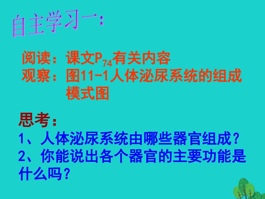 七年级生物下册 第十一章 第一节 人体泌尿系统的组成课件2 （新版）苏教版_第2页