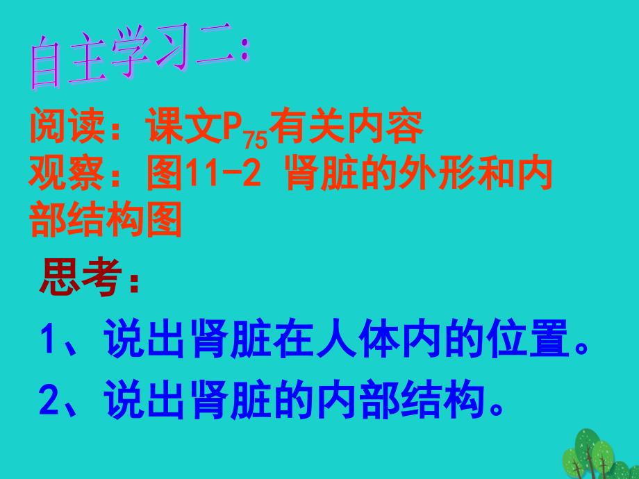 七年级生物下册 第十一章 第一节 人体泌尿系统的组成课件2 （新版）苏教版_第4页