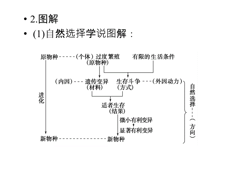 2018高考生物一轮复习 第7章 现代生物进化理论 单元综合提升课件 新人教版必修2_第4页