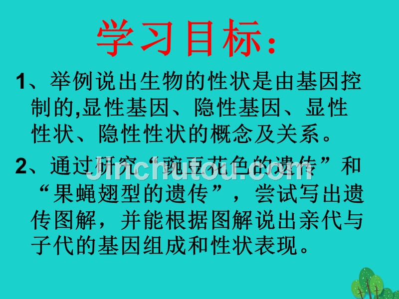 八年级生物上册 4.4.2 性状的遗传课件 济南版_第2页