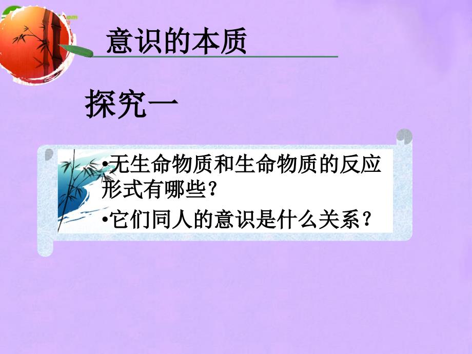 高中政治 生活与哲学 意识的本质课件 新人教版必修4_第4页