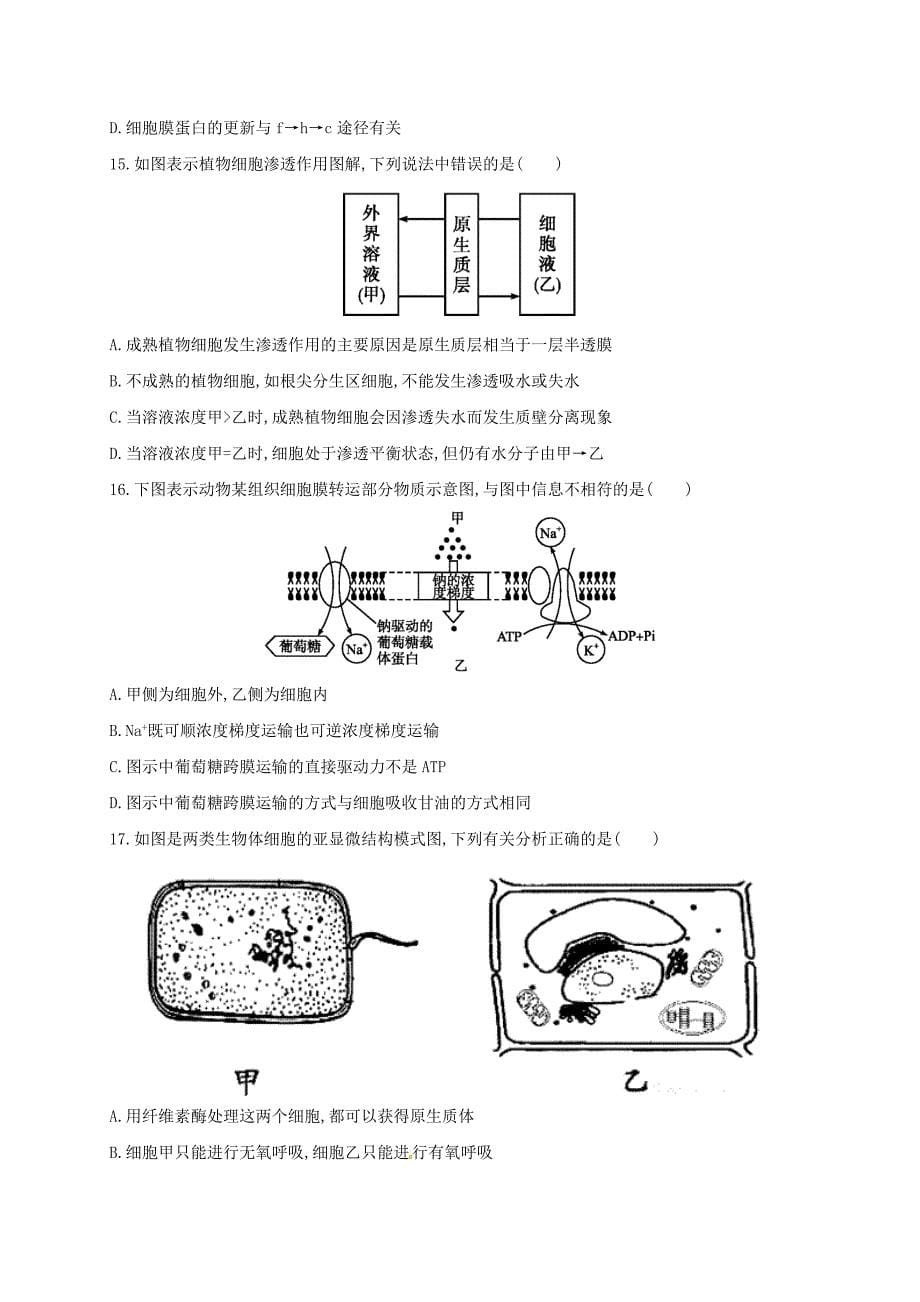 内蒙古乌兰察布市集宁区2016-2017学年高二生物下学期期末考试试题西校区_第5页