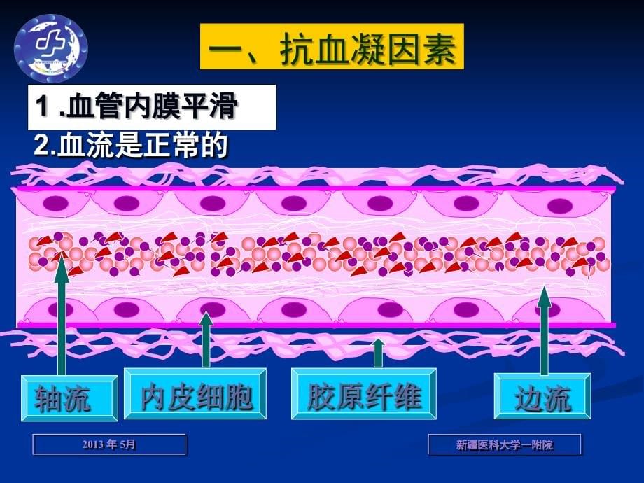 导管相关血栓预防与控制技术 ()_第5页