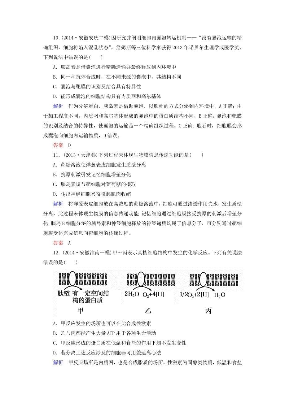 2015年高考生物二轮复习 热点专练 细胞的基本结构（含解析）_第5页