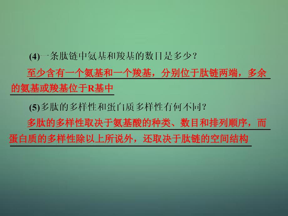 2018届高考生物一轮复习 第2章 第二讲 生命活动的主要承担者-蛋白质课件 新人教版必修1_第4页