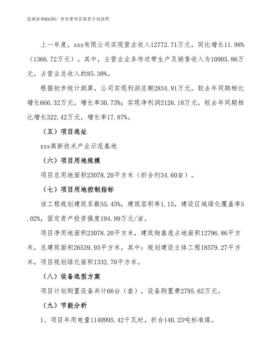 传送带项目投资计划说明_第2页