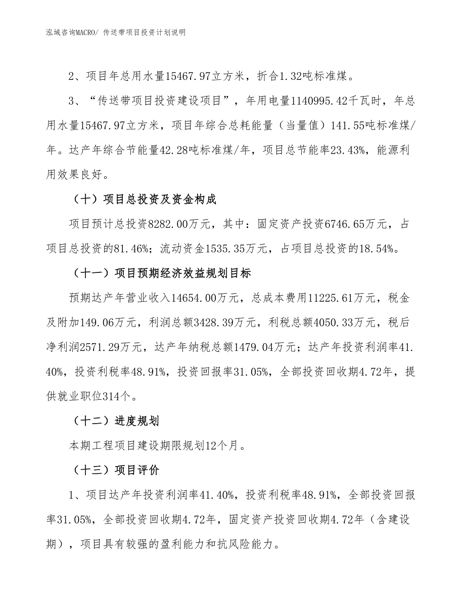 传送带项目投资计划说明_第3页