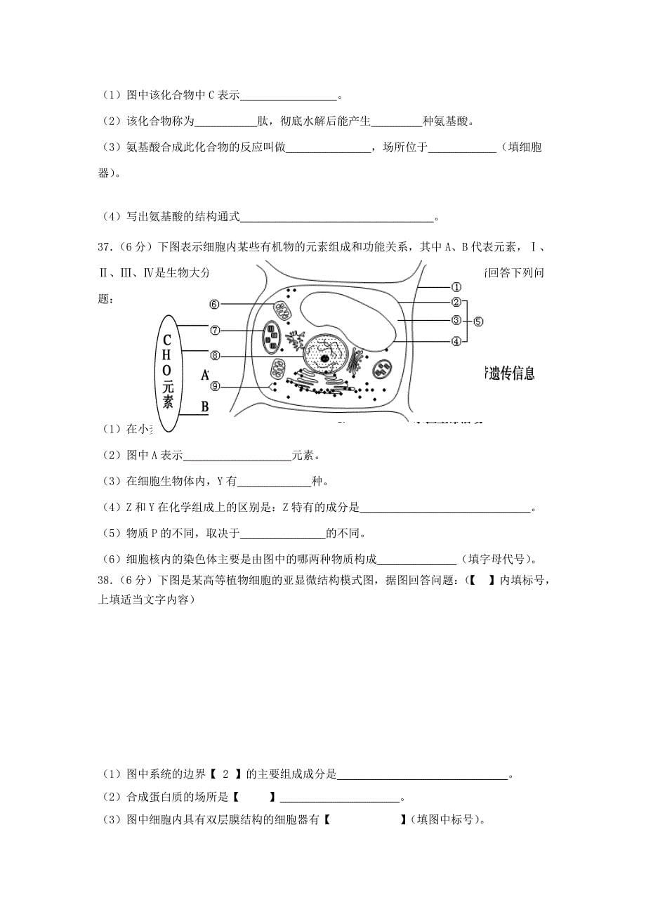 江苏省宿迁市剑桥国际学校2014-2015学年高一生物上学期期中试题新人教版_第5页