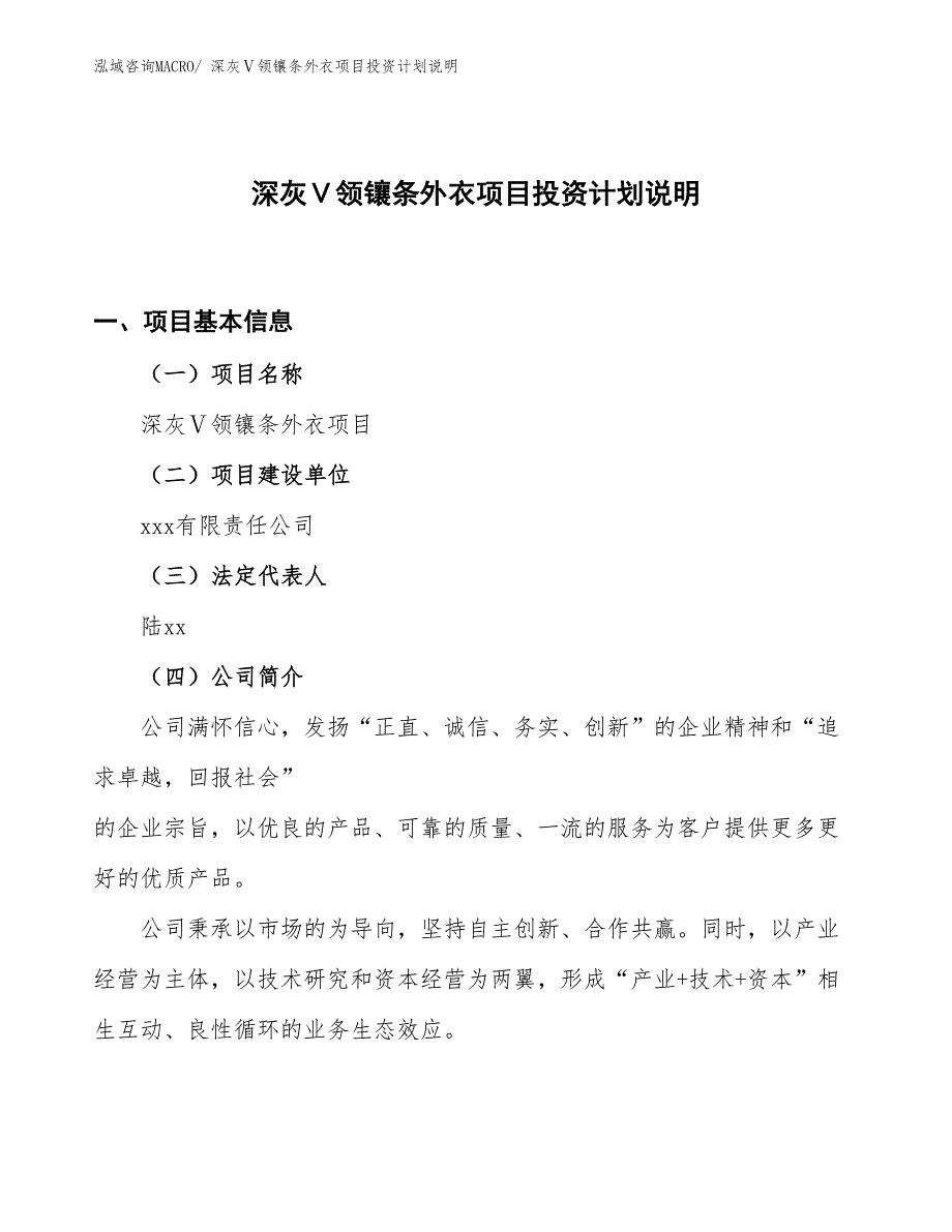 深灰Ⅴ领镶条外衣项目投资计划说明_第1页