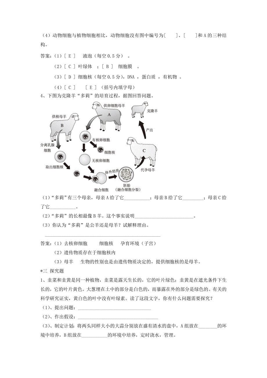 七年级生物上册 测试题 人教新课标版_第5页