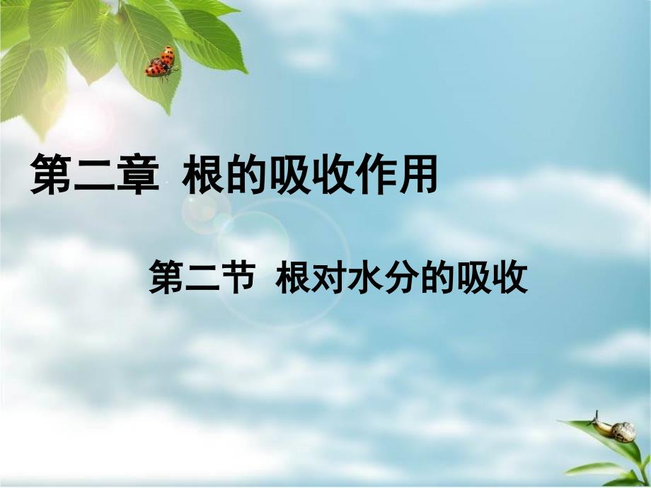 3.2.2 根对水分的吸收 课件4 （冀教版八年级上册）.ppt_第1页