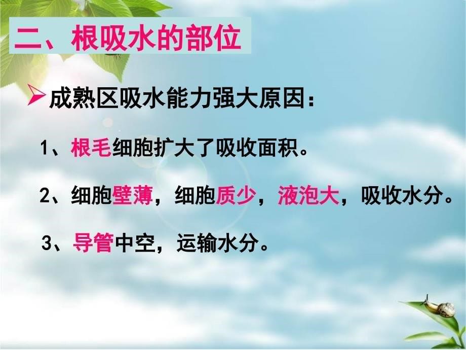 3.2.2 根对水分的吸收 课件4 （冀教版八年级上册）.ppt_第5页