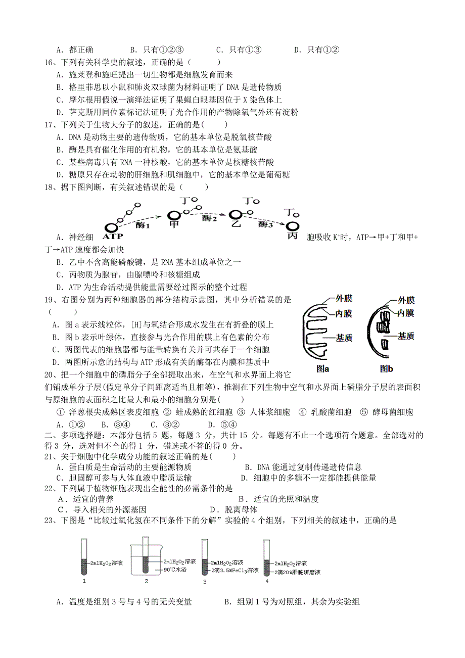 江苏省东台市创新学校2015届高三生物9月月考试卷_第3页