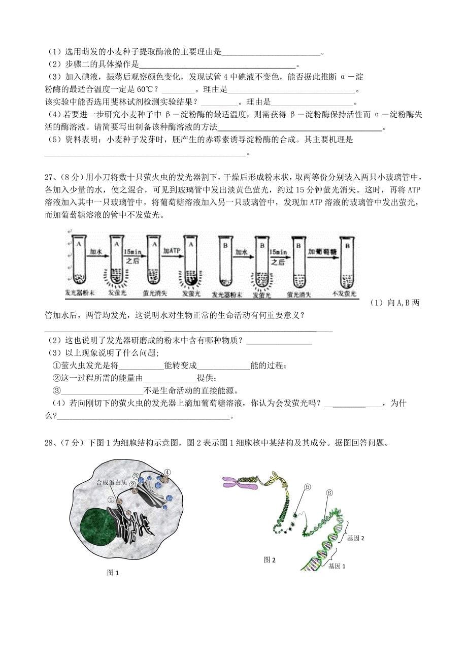 江苏省东台市创新学校2015届高三生物9月月考试卷_第5页