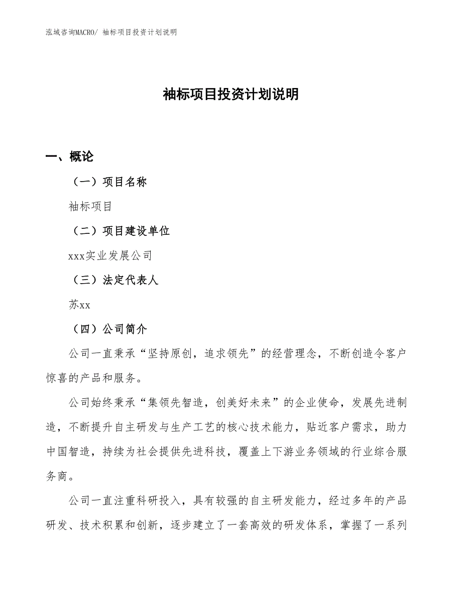 袖标项目投资计划说明_第1页