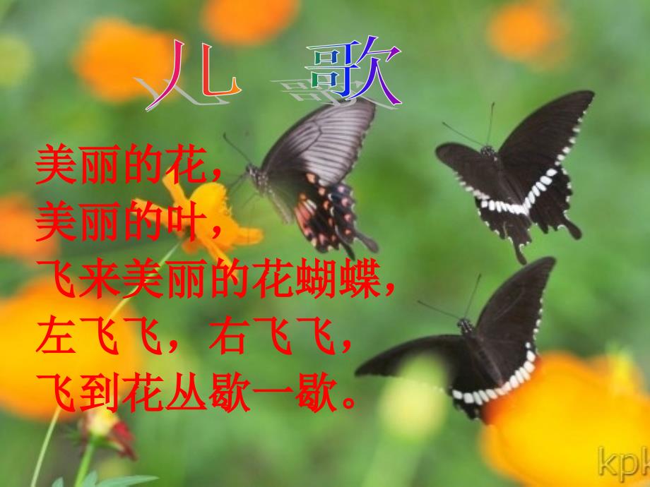 小班《美丽的花儿》.ppt_第2页