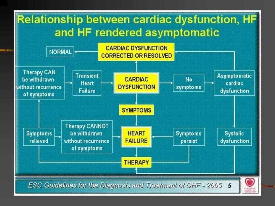 年欧洲慢性心衰诊断和治疗指南_第5页