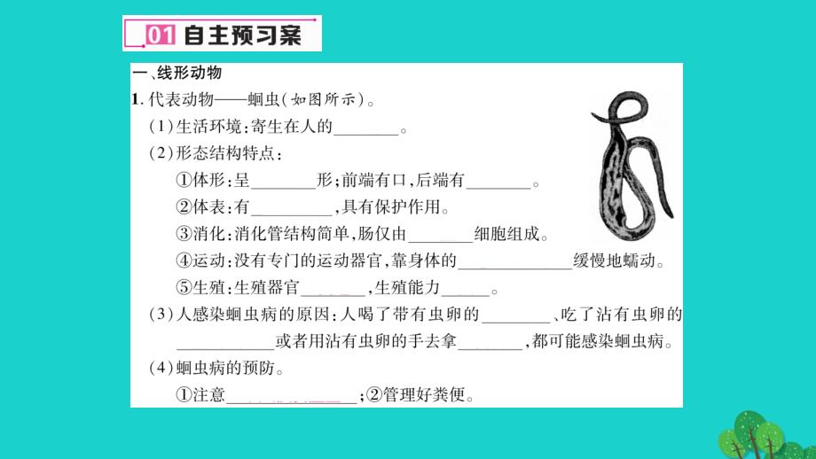 2018年秋八年级生物上册 第五单元 第一章 第二节 线形动物和环节动物课件 （新版）新人教版_第4页