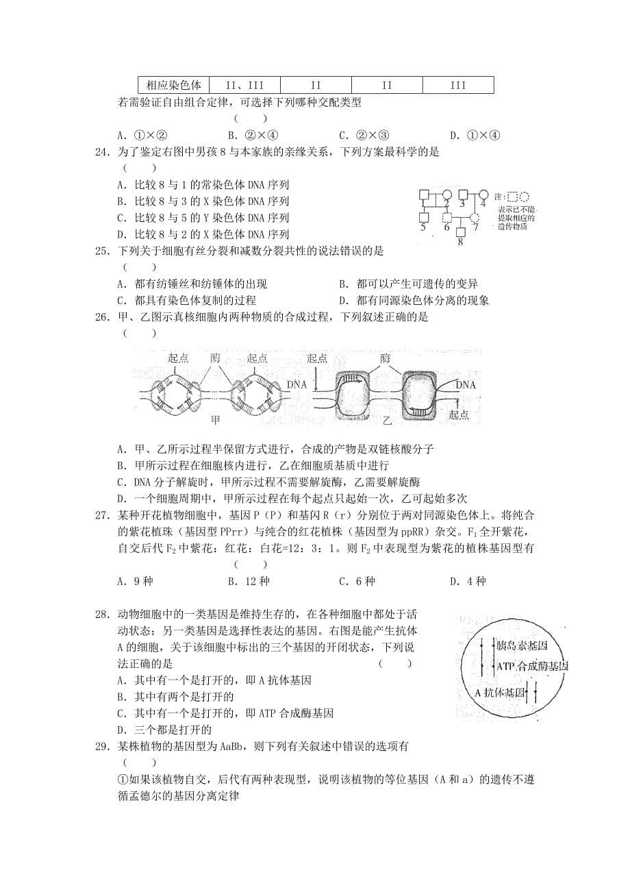 山东省烟台市2012届高三生物第一学期期中考试试题_第5页