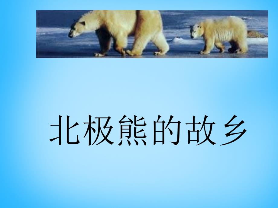 2018秋六年级语文上册《北极熊的故乡》课件 沪教版_第1页
