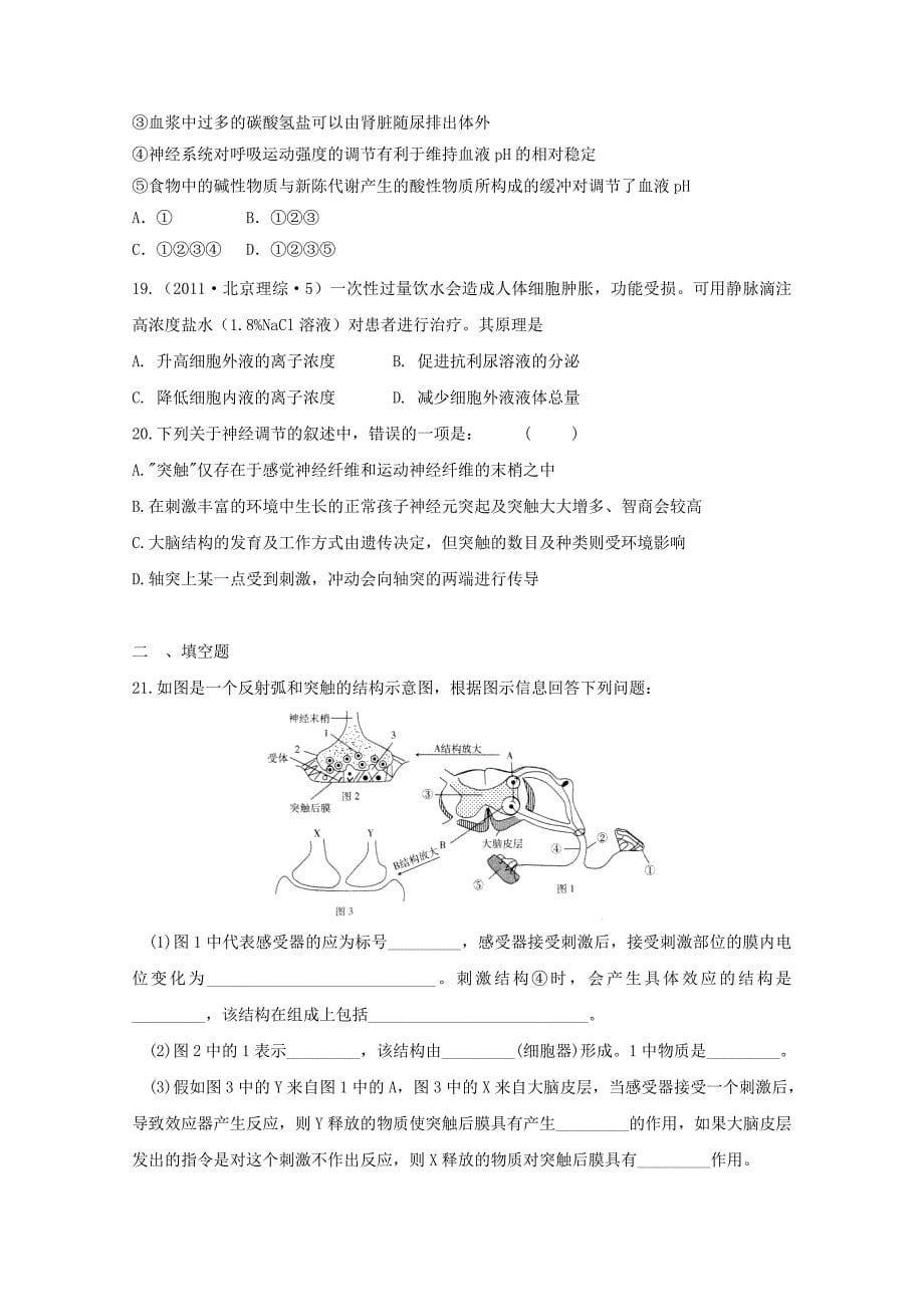 2011年高二生物上学期期中生物模拟测试2 新人教版_第5页