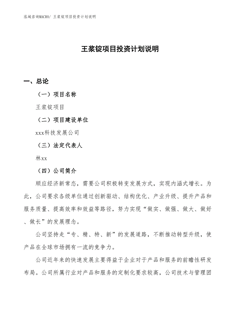 王浆锭项目投资计划说明_第1页