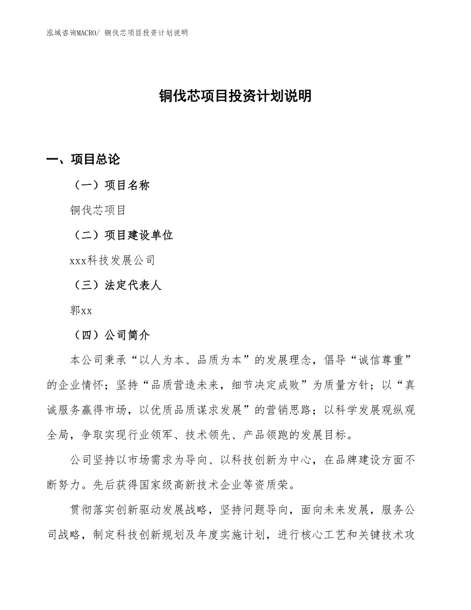 铜伐芯项目投资计划说明_第1页