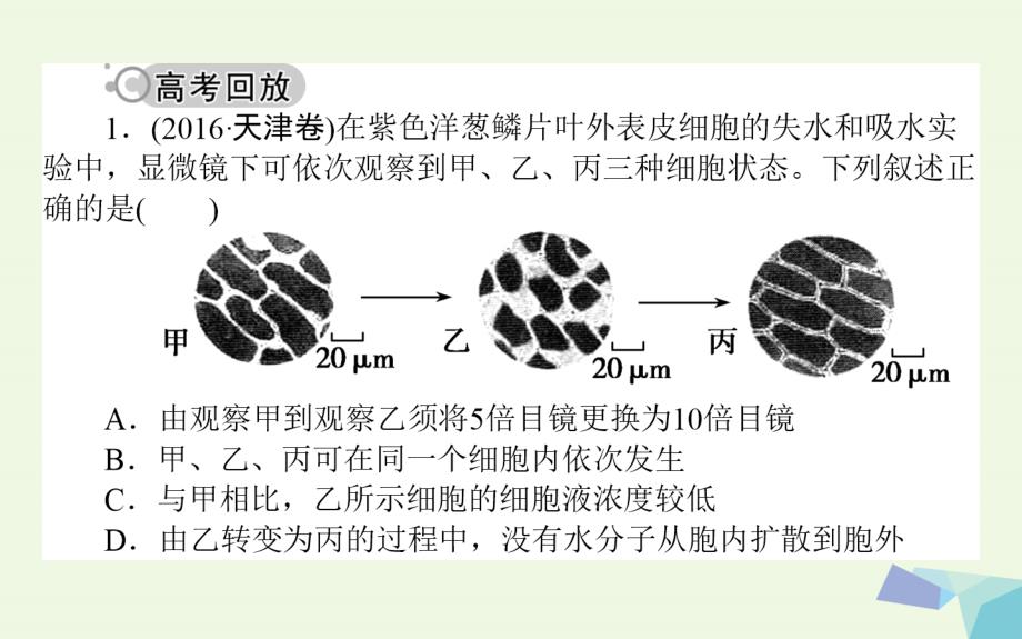 2018届高考生物二轮复习专题十五实验与探究第一部分教材实验综合考查课件_第2页