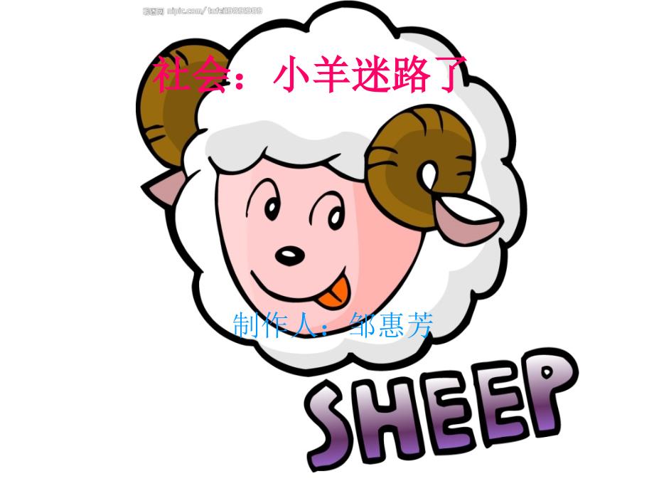 小羊迷路了.ppt_第1页