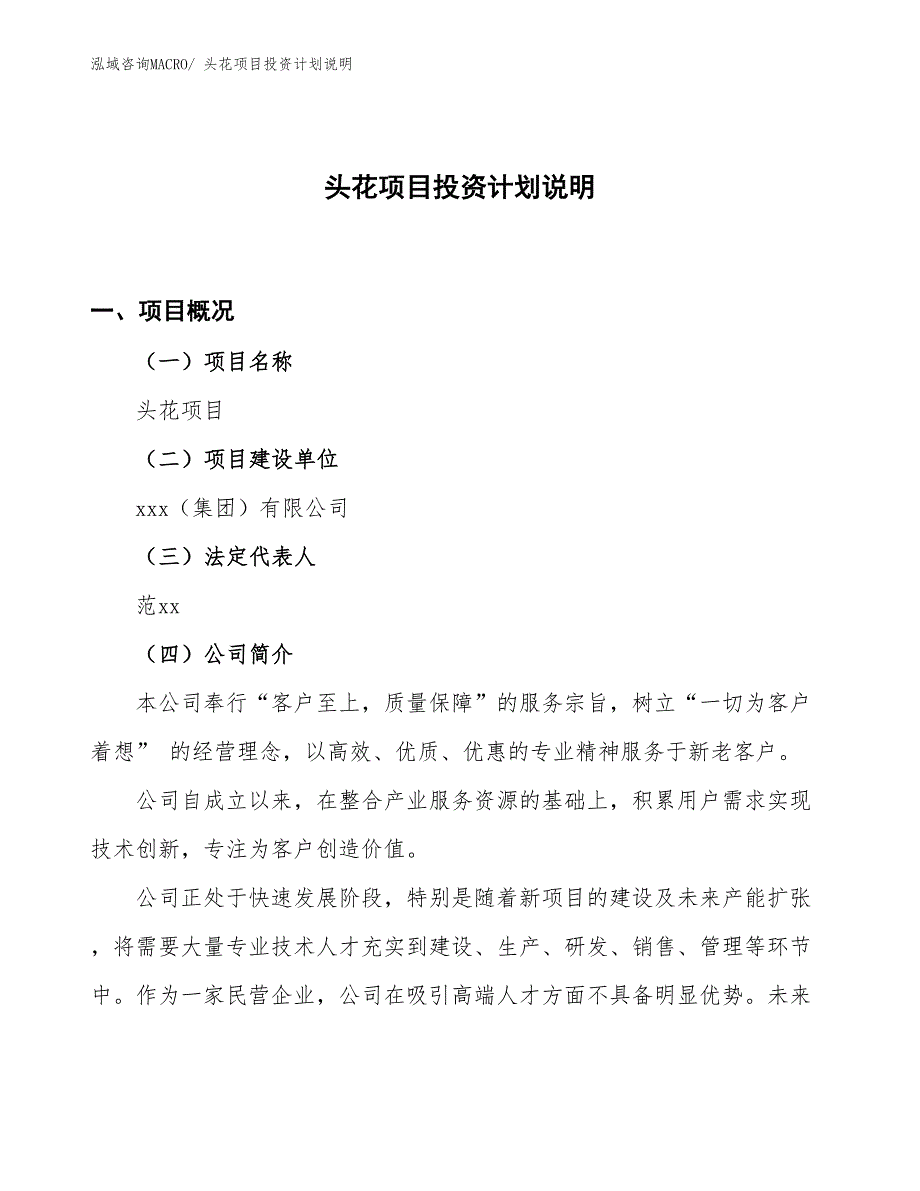 头花项目投资计划说明_第1页