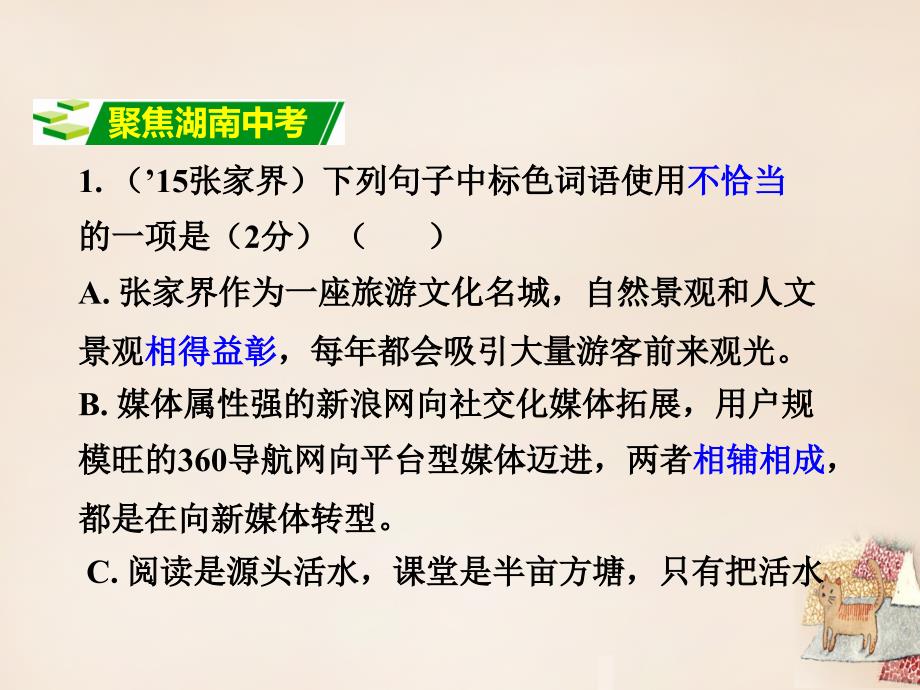 2018中考语文 专题三 词语理解与应用复习课件 语文版_第2页