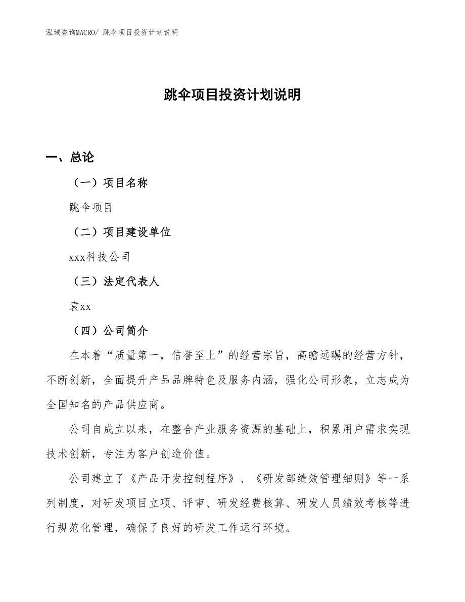 跳伞项目投资计划说明_第1页