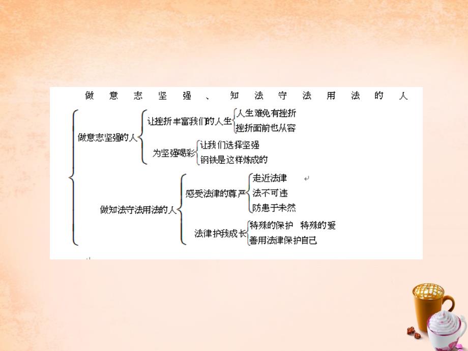 2018中考政治总复习 第四讲 做意志坚强、知法守法用法的人课件 新人教版_第2页