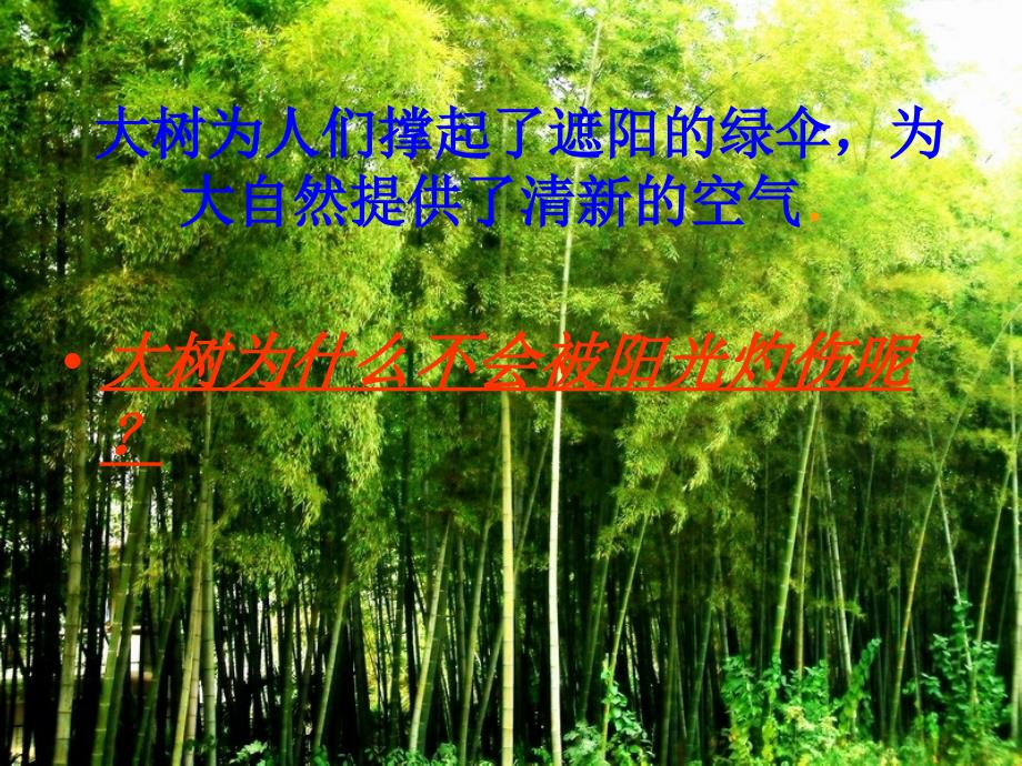 3.2.8 绿色植物的蒸腾作用 课件 济南版七年级上.ppt_第3页