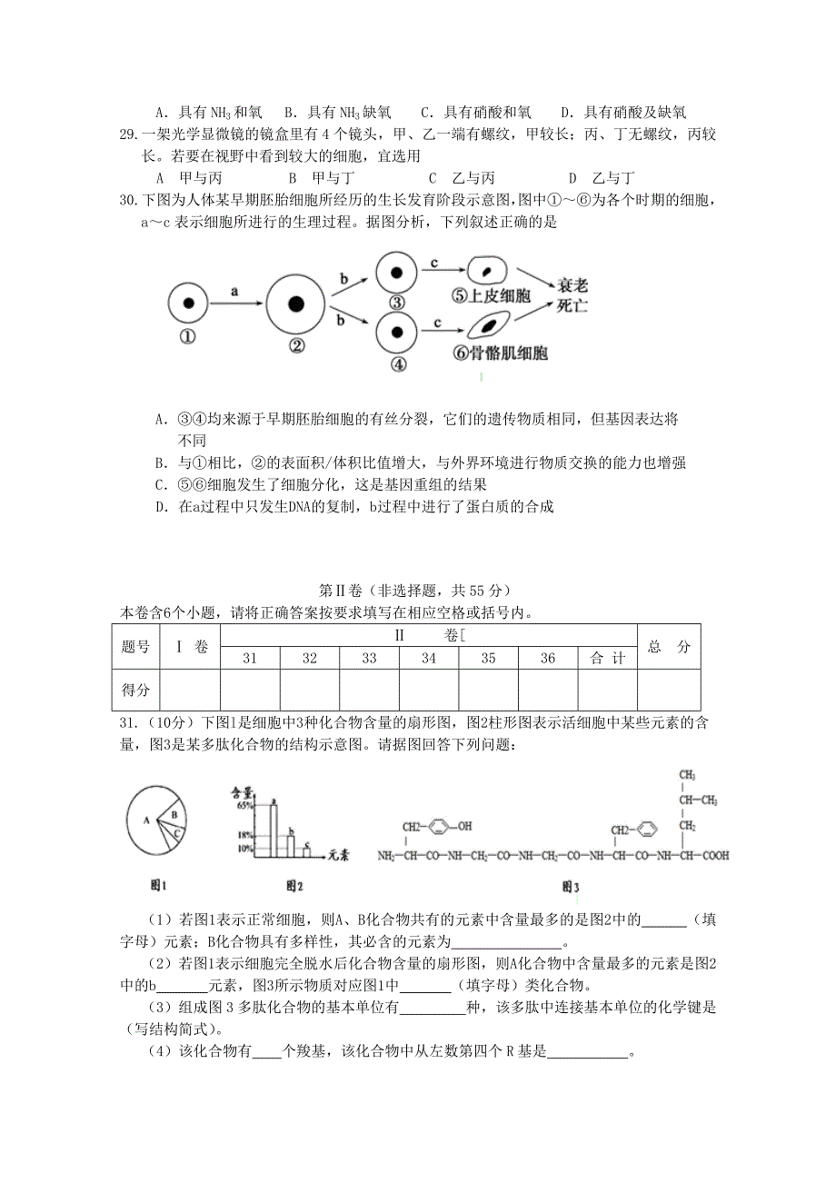 山东省潍坊市2012届高三生物上学期10月三县联合考试_第4页