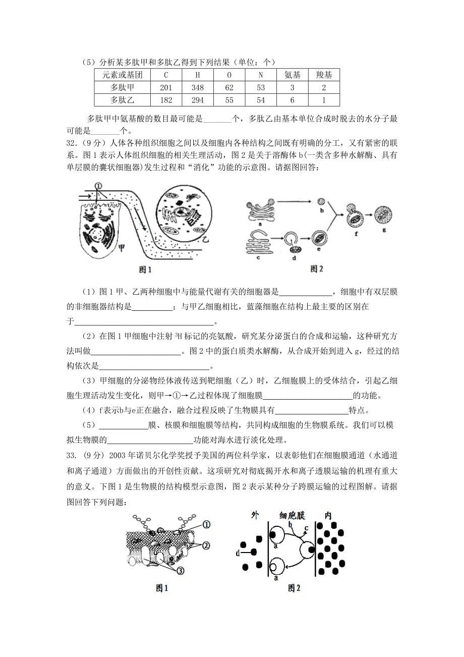 山东省潍坊市2012届高三生物上学期10月三县联合考试_第5页