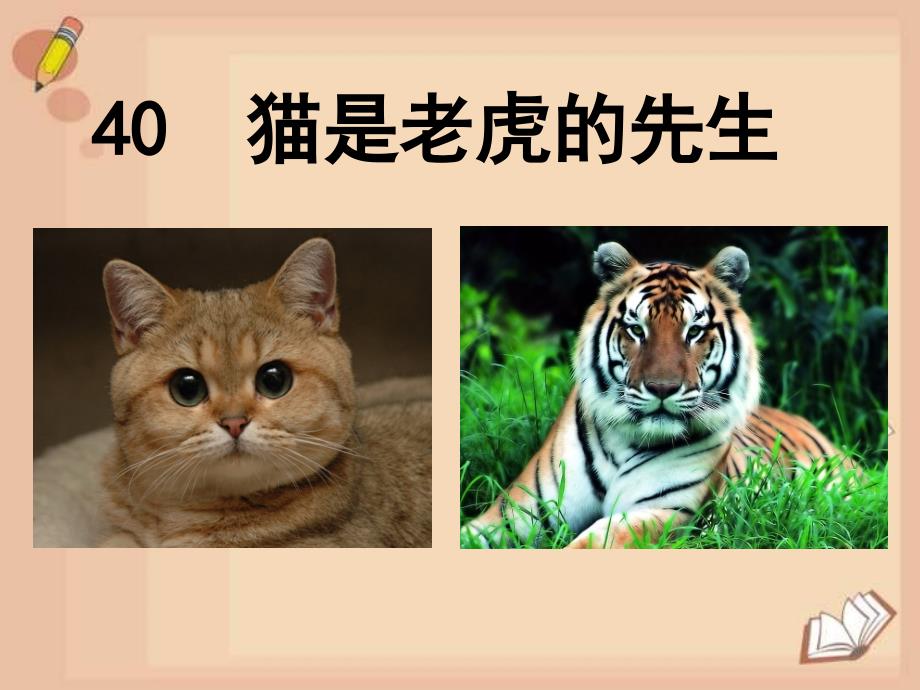 2018秋三年级语文上册《猫是老虎的先生》课件4 沪教版_第4页