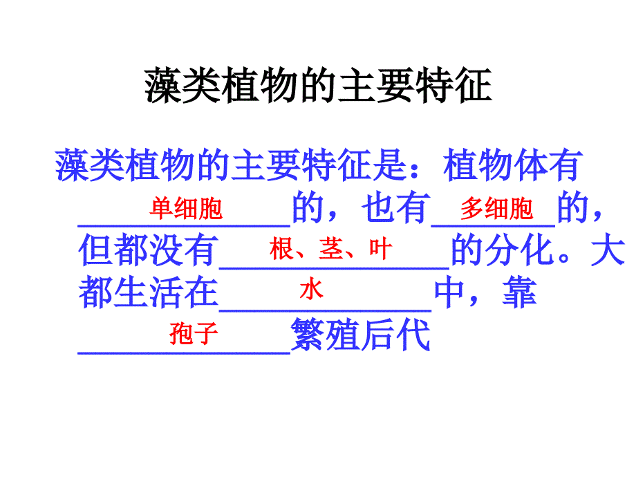 3.1.1 绿色植物的主要类群 课件 济南版七年级上.ppt_第2页