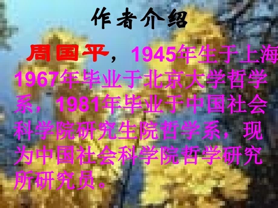 家 周国平 课件.ppt_第5页