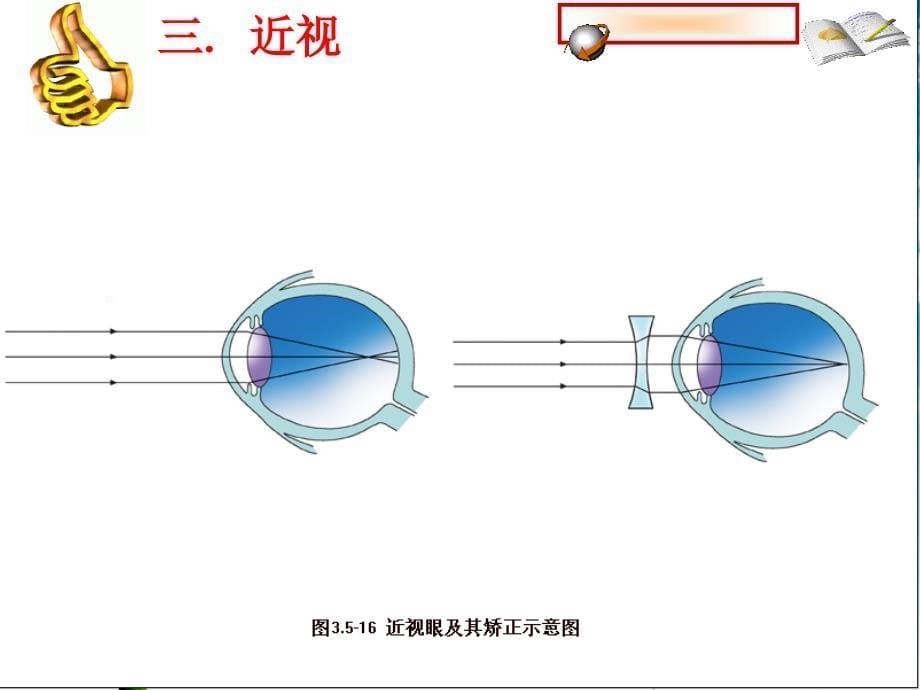 3.5.5人体对周围世界的感知 课件 济南版七年级下册.ppt_第5页