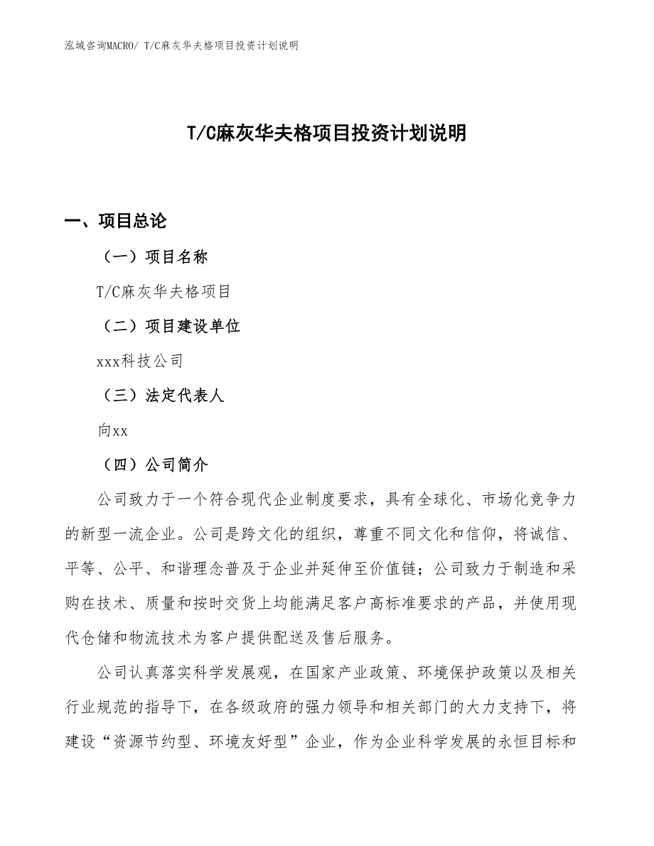 T_C麻灰华夫格项目投资计划说明_第1页